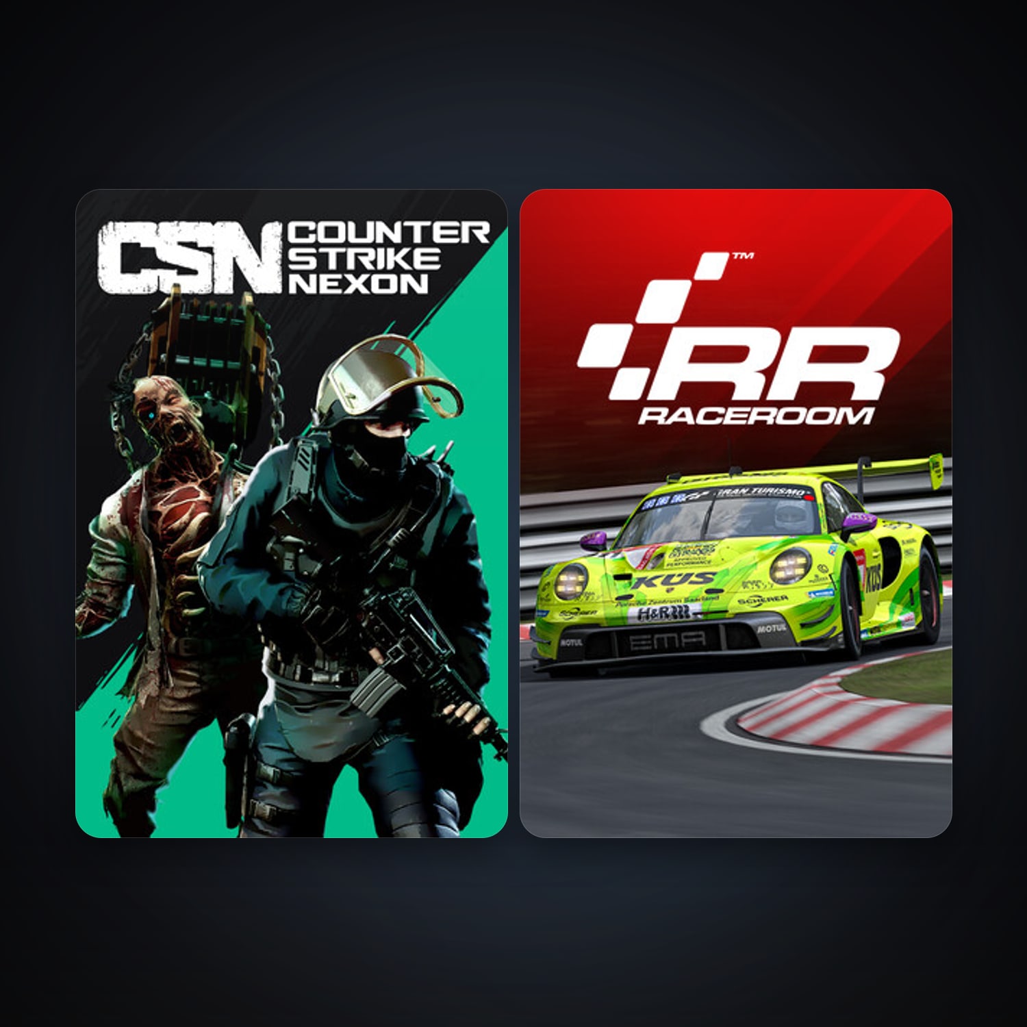 RaceRoom Racing Experience + Counter-Strike Nexon: Studio, 2 games, clean — HabibiAccounts