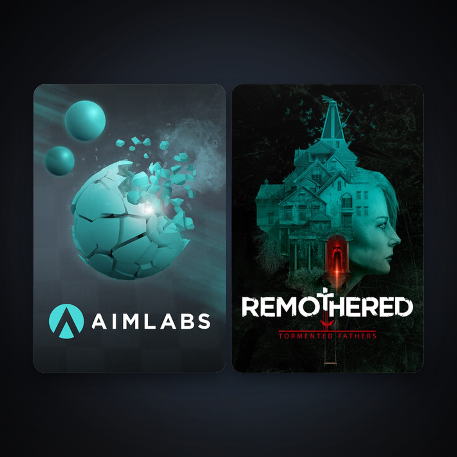 Remothered: Tormented Fathers + Aimlabs, 7 games, clean — HabibiAccounts