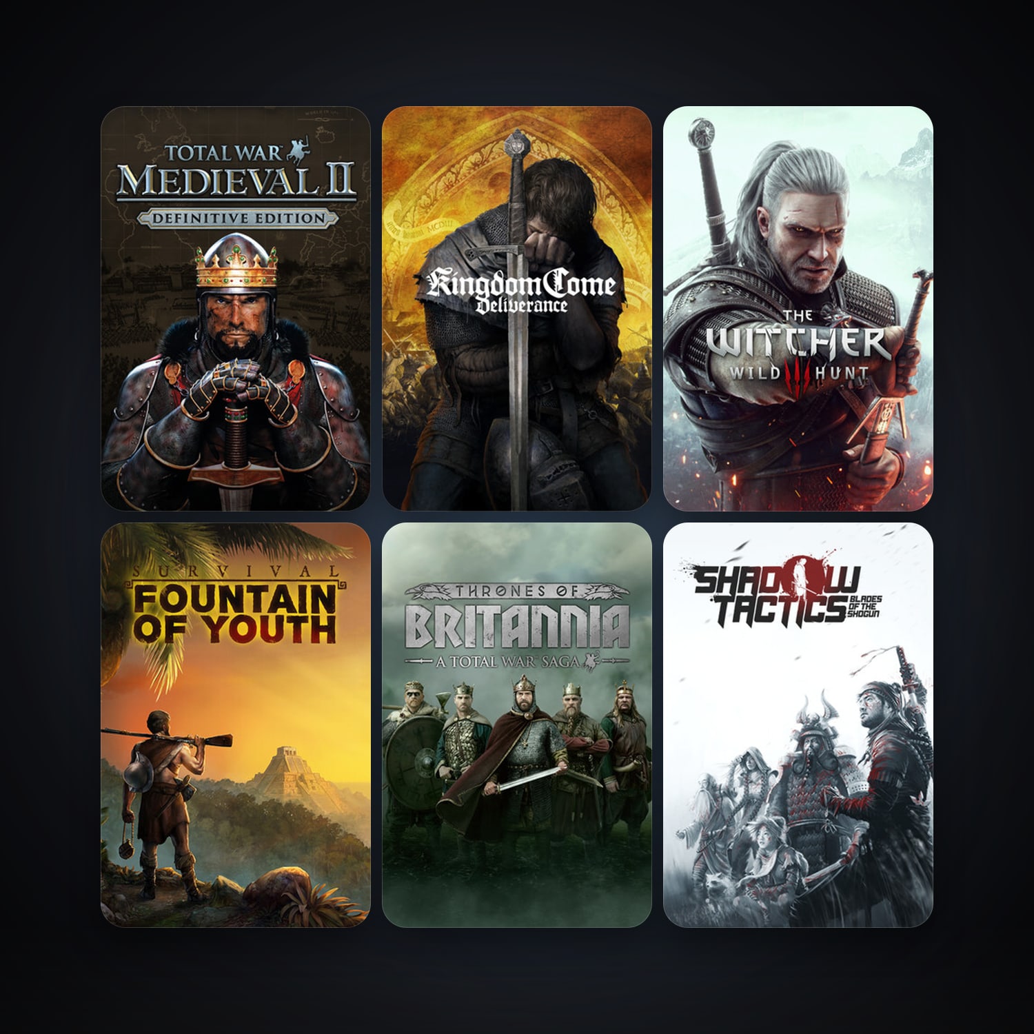 Steam account: Medieval II: Total War + The Witcher 2: Assassins of Kings Enhanced Edition, 38 games, clean — HabibiAccounts