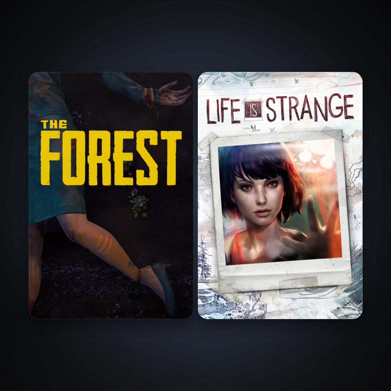 Steam account: Free CS2 (No Prime) + The Forest, 5 games, clean — HabibiAccounts