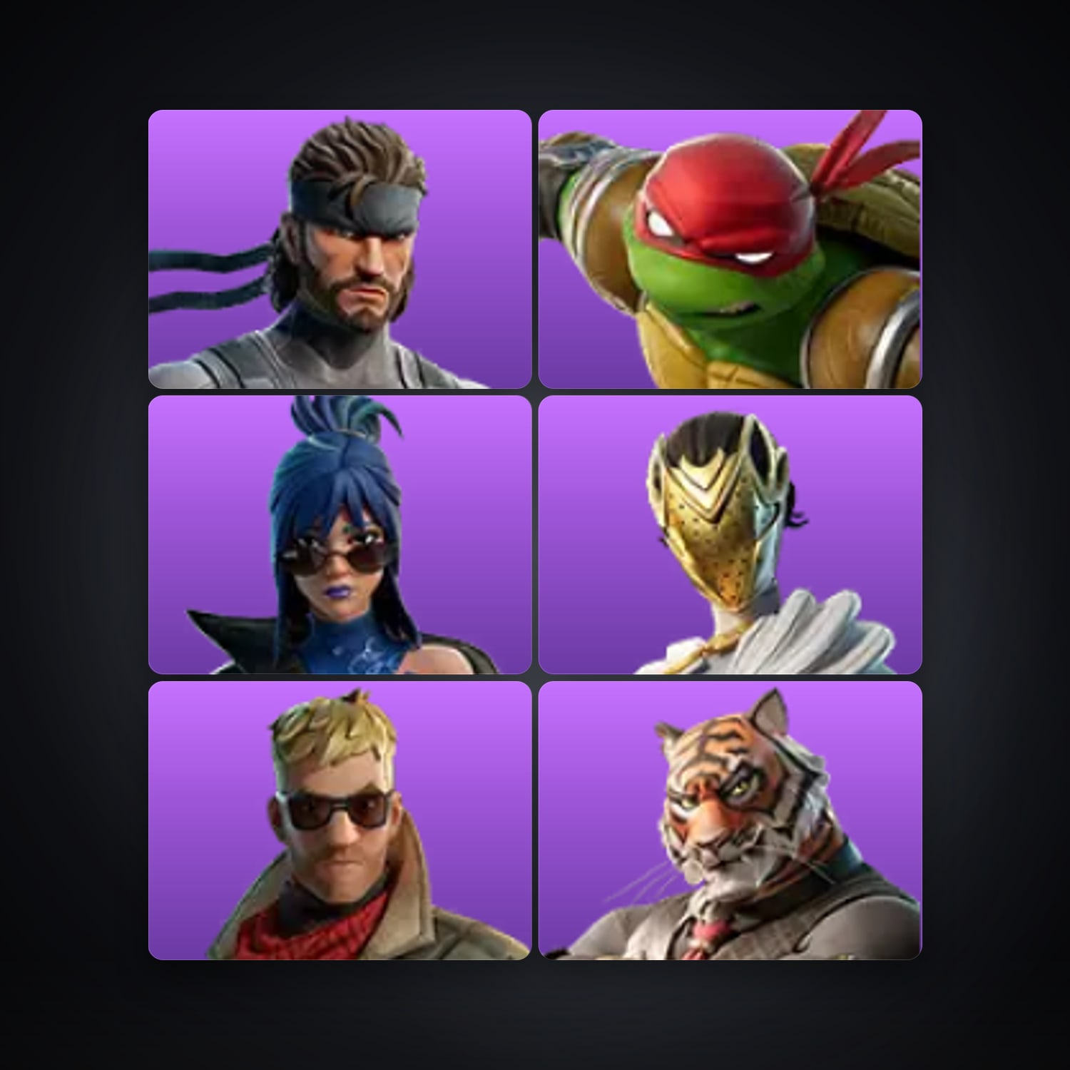 Fortnite account with Solid Snake & Raphael — 6 skins — 450 V-Bucks — lvl 144 — HabibiAccounts