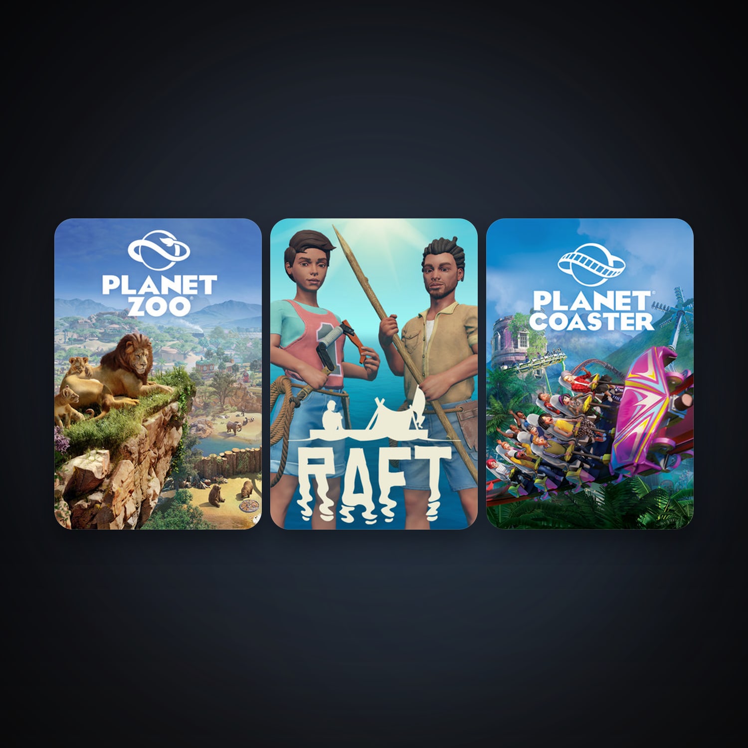 Steam account: Planet Coaster + Raft, 3 games, clean — HabibiAccounts