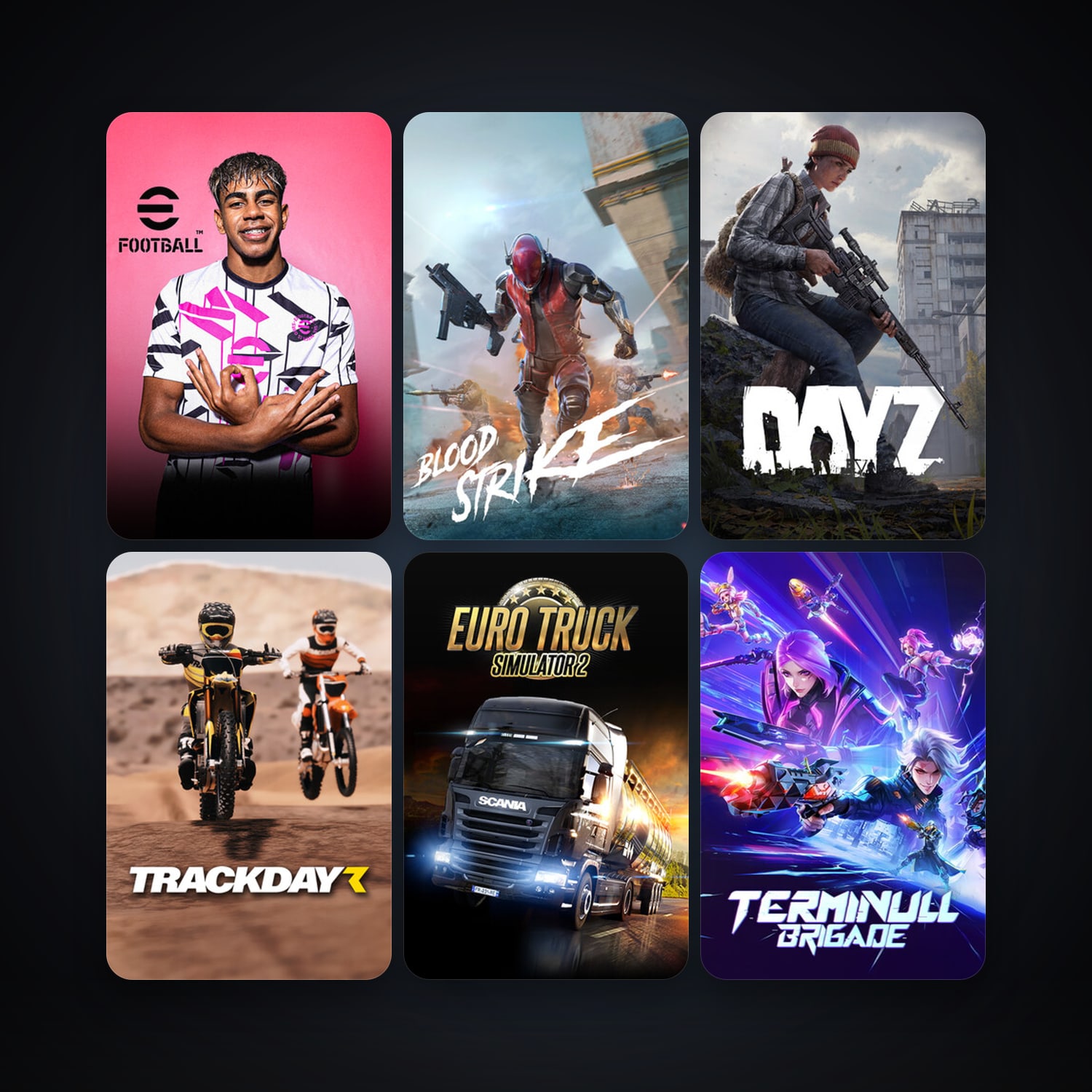 Steam account: DayZ + Euro Truck Simulator 2, 15 games, clean — HabibiAccounts
