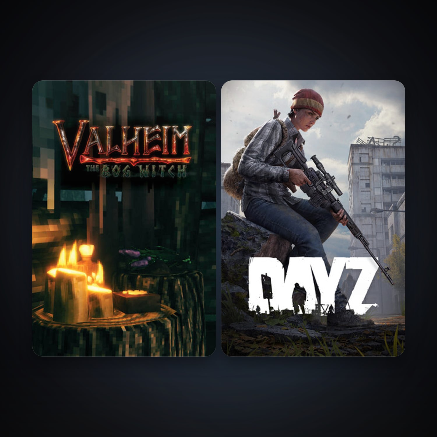 Steam account: DayZ + Valheim, 2 games, clean — HabibiAccounts