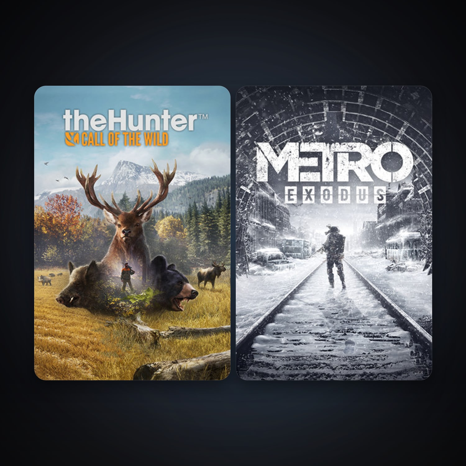 Steam account: Metro Exodus + theHunter: Call of the Wild, 6 games, clean — HabibiAccounts