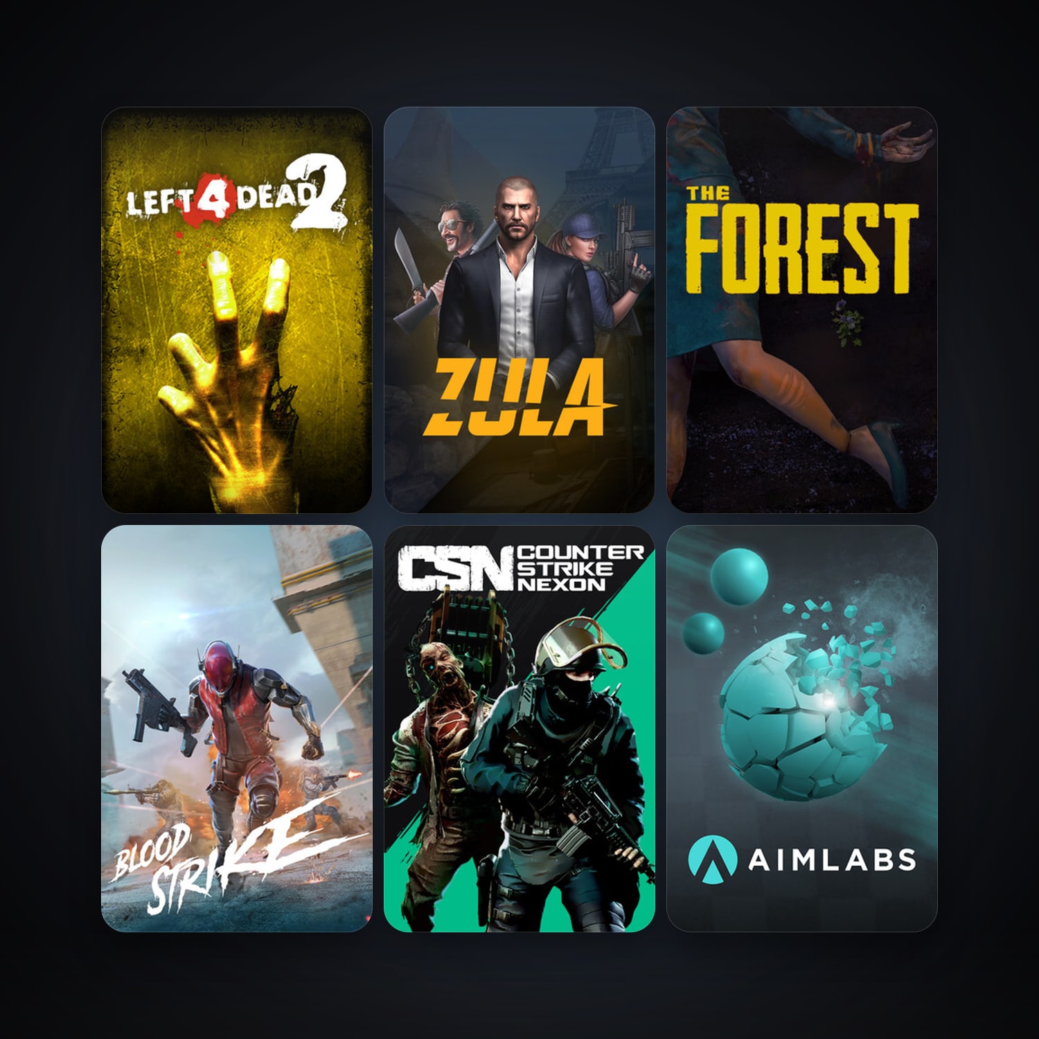 Steam account: Left 4 Dead 2 + The Forest, 12 games, clean — HabibiAccounts