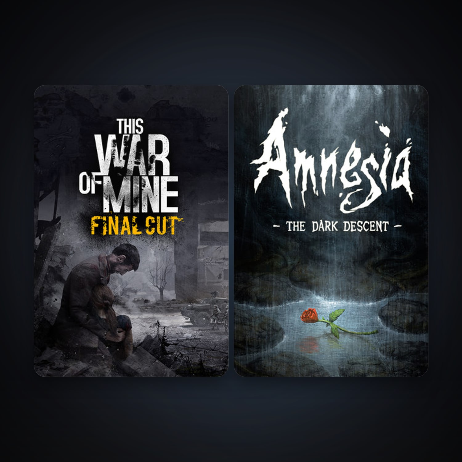 Steam account: Amnesia: The Dark Descent + This War of Mine, 3 games, clean — HabibiAccounts
