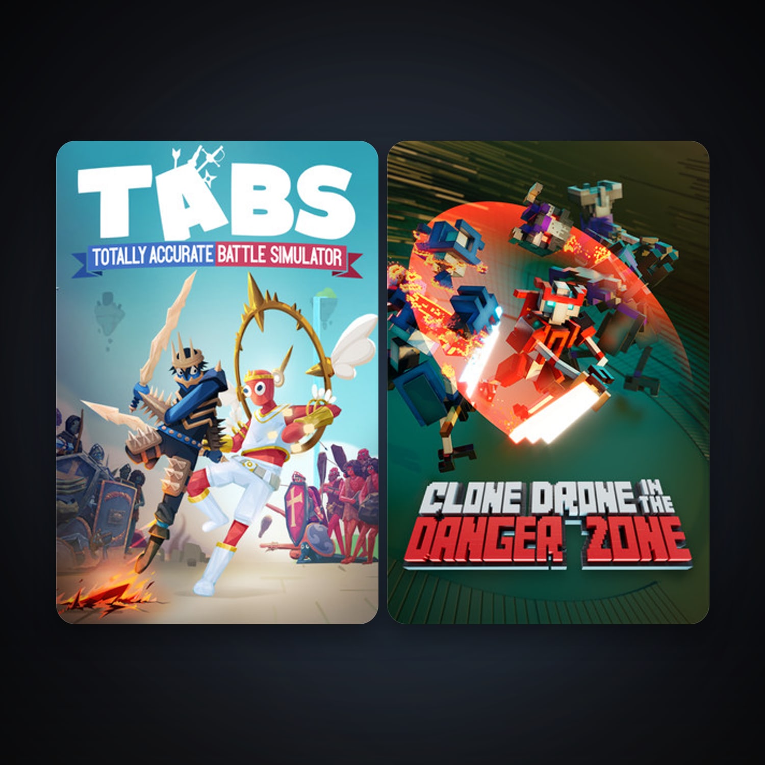 Steam account: Totally Accurate Battle Simulator + Clone Drone in the Danger Zone, 2 games, clean — HabibiAccounts
