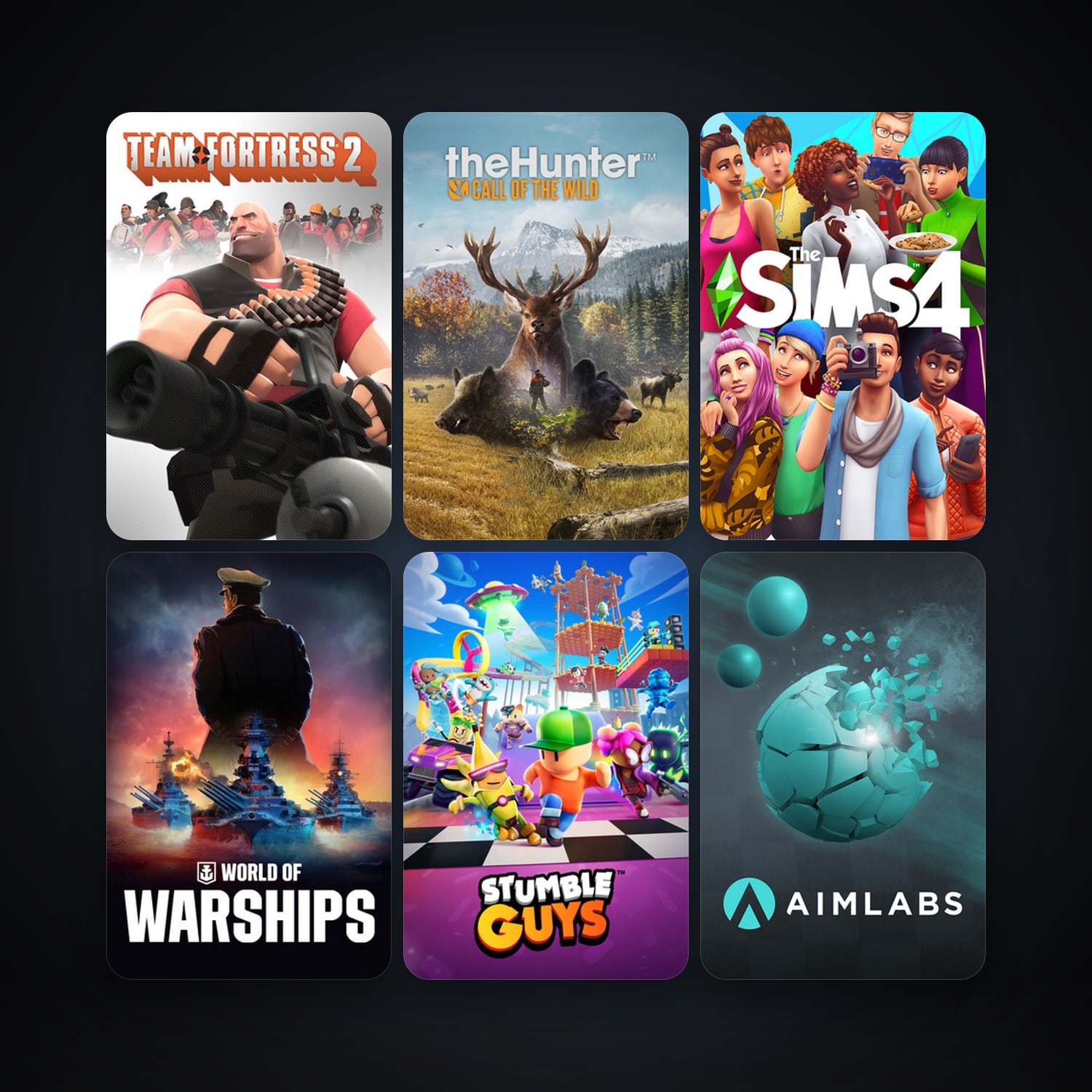 Steam account: Team Fortress 2 + theHunter: Call of the Wild, 11 games, clean — HabibiAccounts