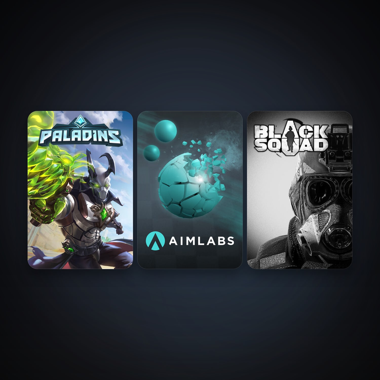 Steam account: Paladins + Black Squad, 3 games, clean — HabibiAccounts