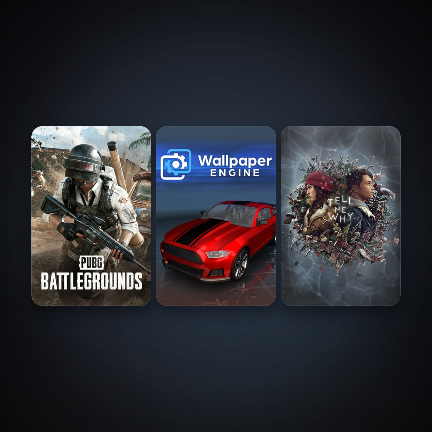 حساب ستيم فلين، Wallpaper Engine وPUBG: BATTLEGROUNDS، 4 لعبة، صامد واضح — HabibiAccounts