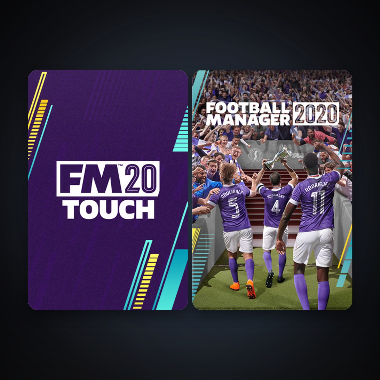 حساب ستيم فلين، Football Manager 2020 وFootball Manager 2020 Touch، 2 لعبة، صامد واضح — HabibiAccounts