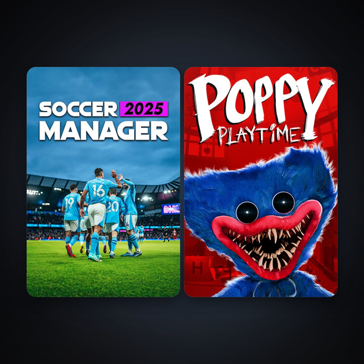 Steam account: Poppy Playtime + Soccer Manager 2027, 5 games, clean — HabibiAccounts