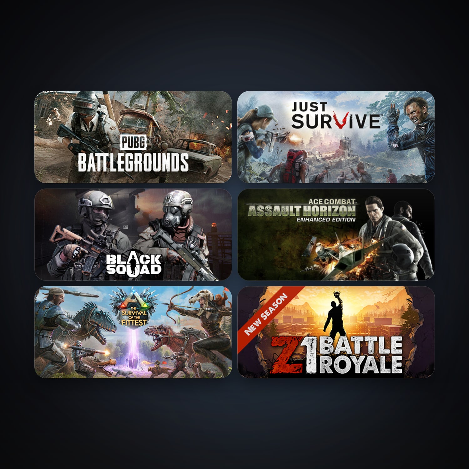 حساب ستيم فلين، Ace Combat Assault Horizon - Enhanced Edition وJust Survive، 13 لعبة، صامد واضح — HabibiAccounts