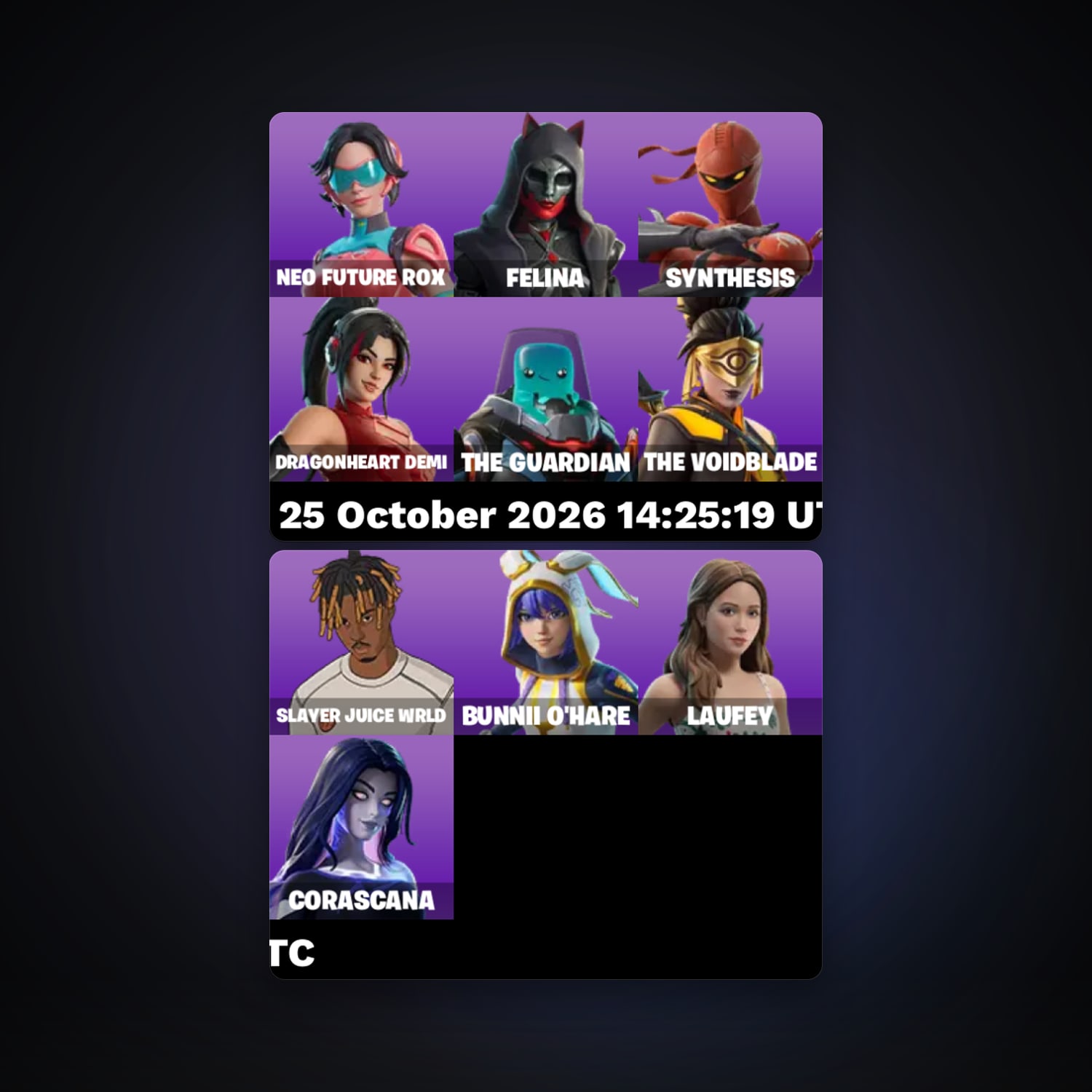 Fortnite account with Neo Future Rox & Felina — 10 skins — lvl 263 — HabibiAccounts