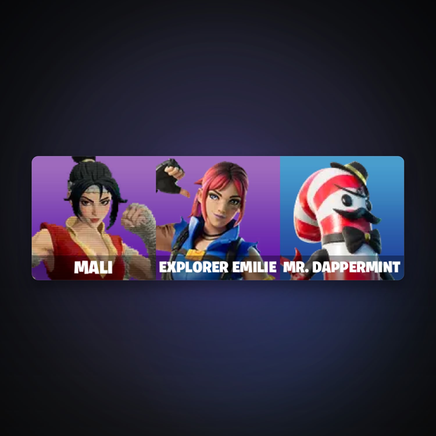 Fortnite account with Mali & Explorer Emilie — 3 skins — lvl 5 — HabibiAccounts