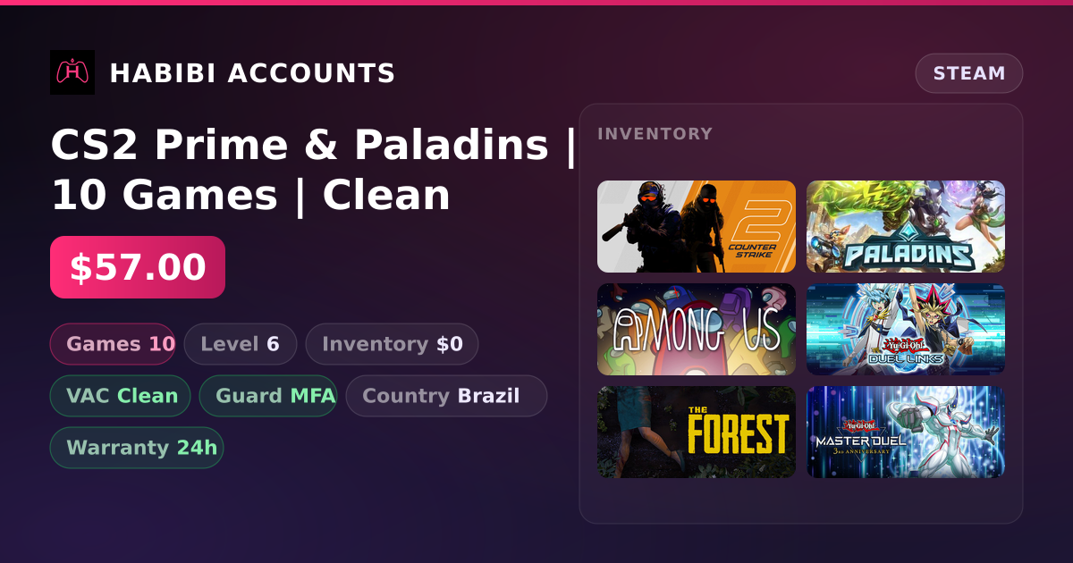 CS2 Prime & Paladins | 10 Games | Clean — HabibiAccounts