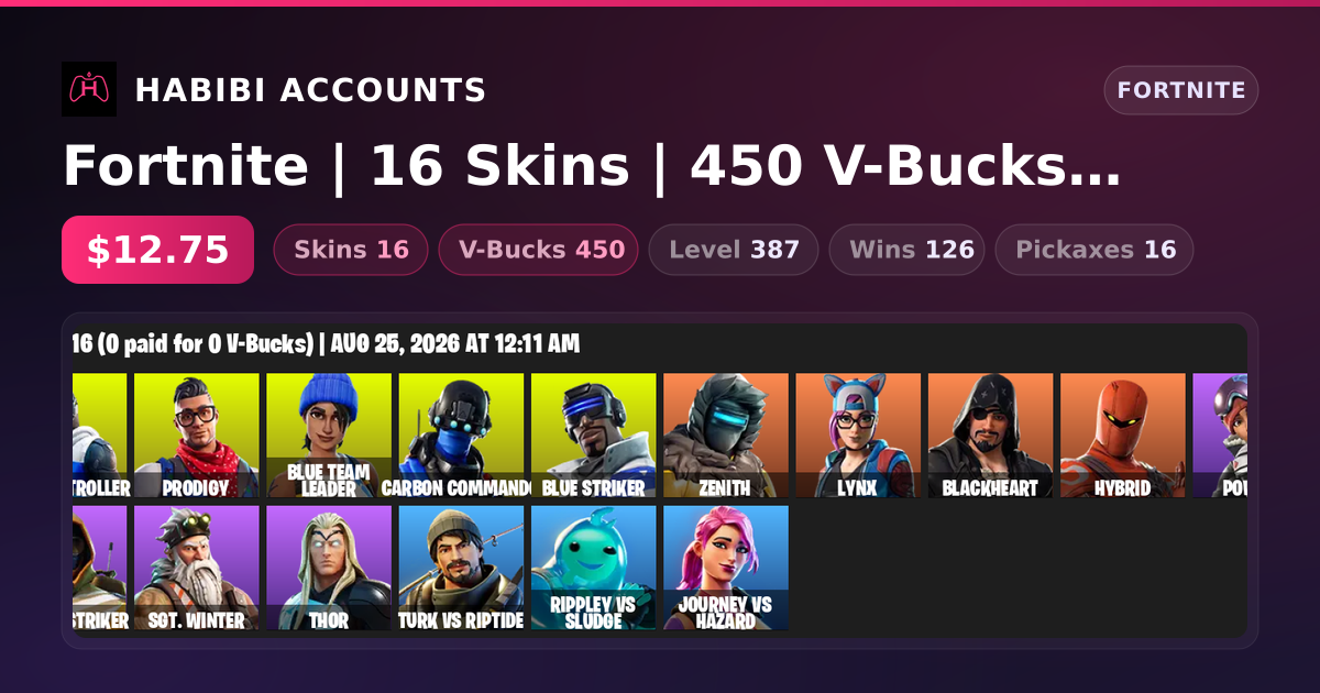 Fortnite | 16 Skins | 450 V-Bucks | Level 387 | 126 Wins — HabibiAccounts