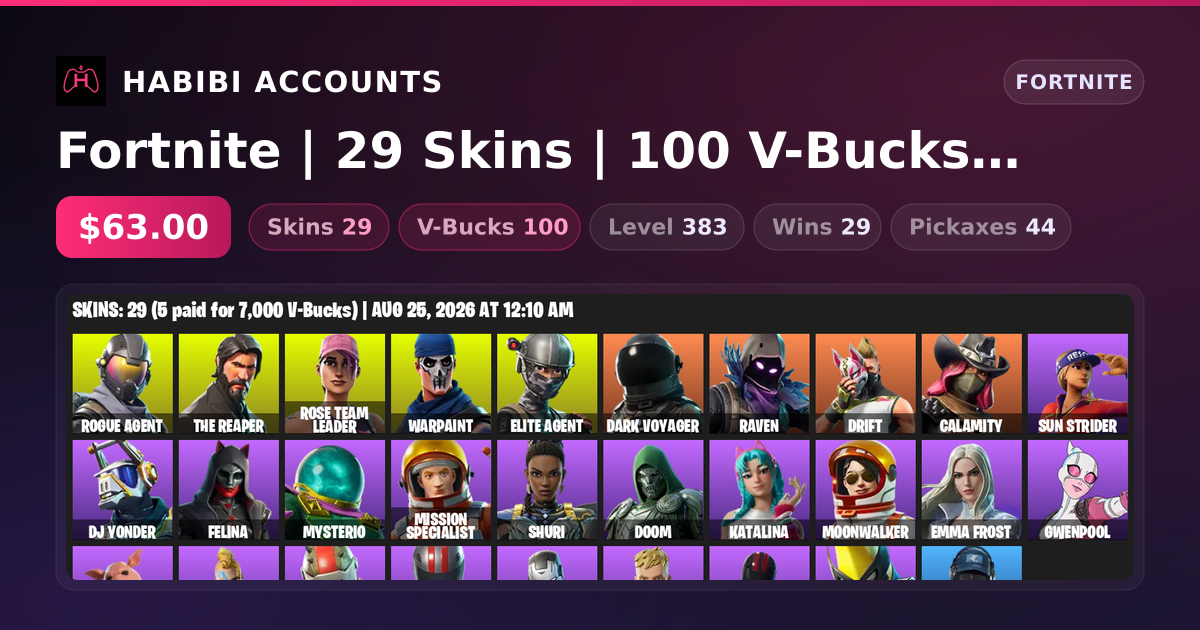 Fortnite | 29 Skins | 100 V-Bucks | Level 383 | 29 Wins — HabibiAccounts