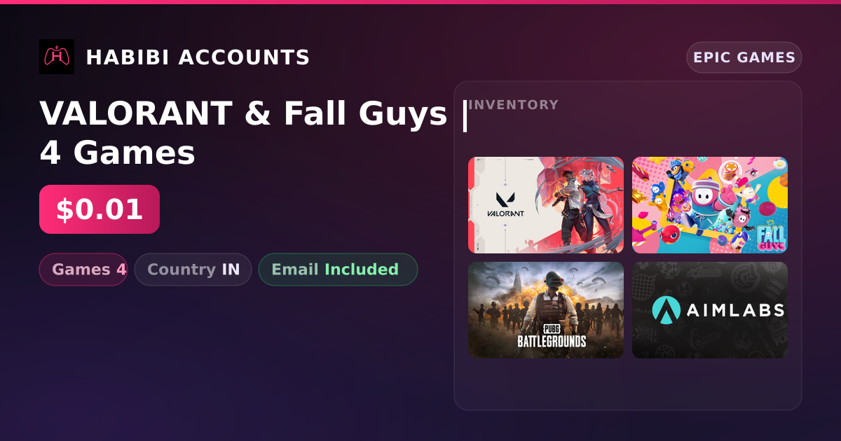 VALORANT & Fall Guys | 4 Games — HabibiAccounts