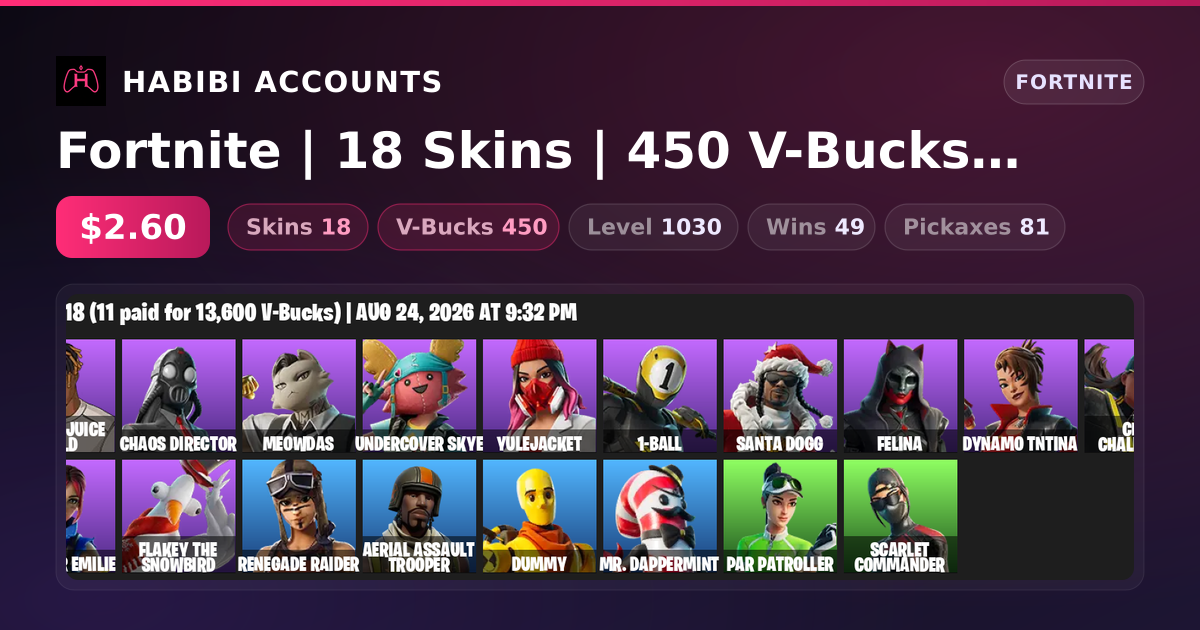 Fortnite | 18 Skins | 450 V-Bucks | Level 1030 | 49 Wins — HabibiAccounts