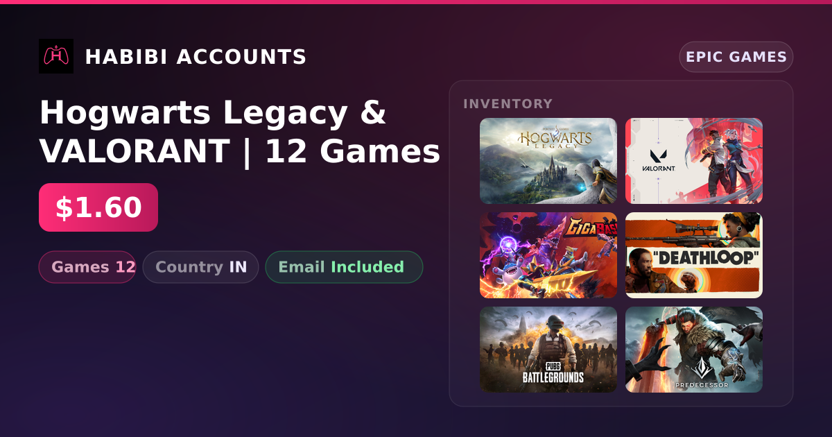 Hogwarts Legacy & VALORANT | 12 Games — HabibiAccounts