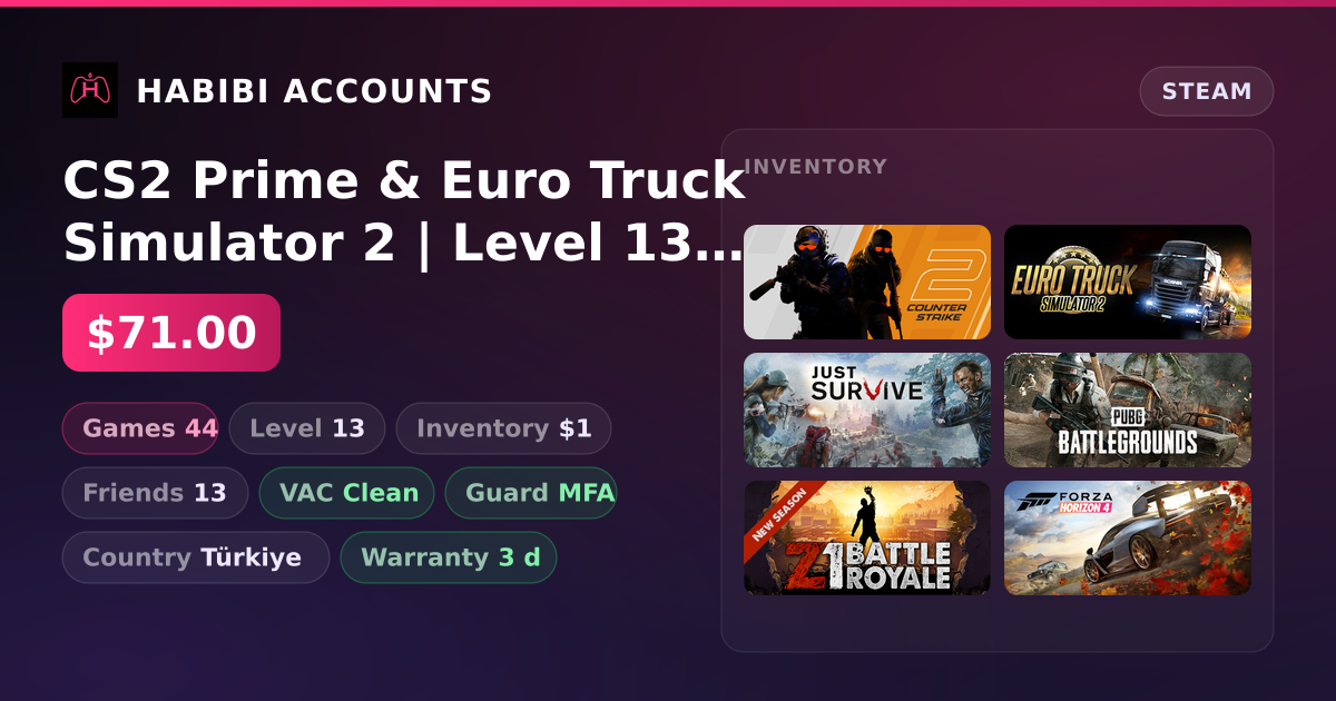 CS2 Prime & Euro Truck Simulator 2 | Level 13 | 44 Games | Clean